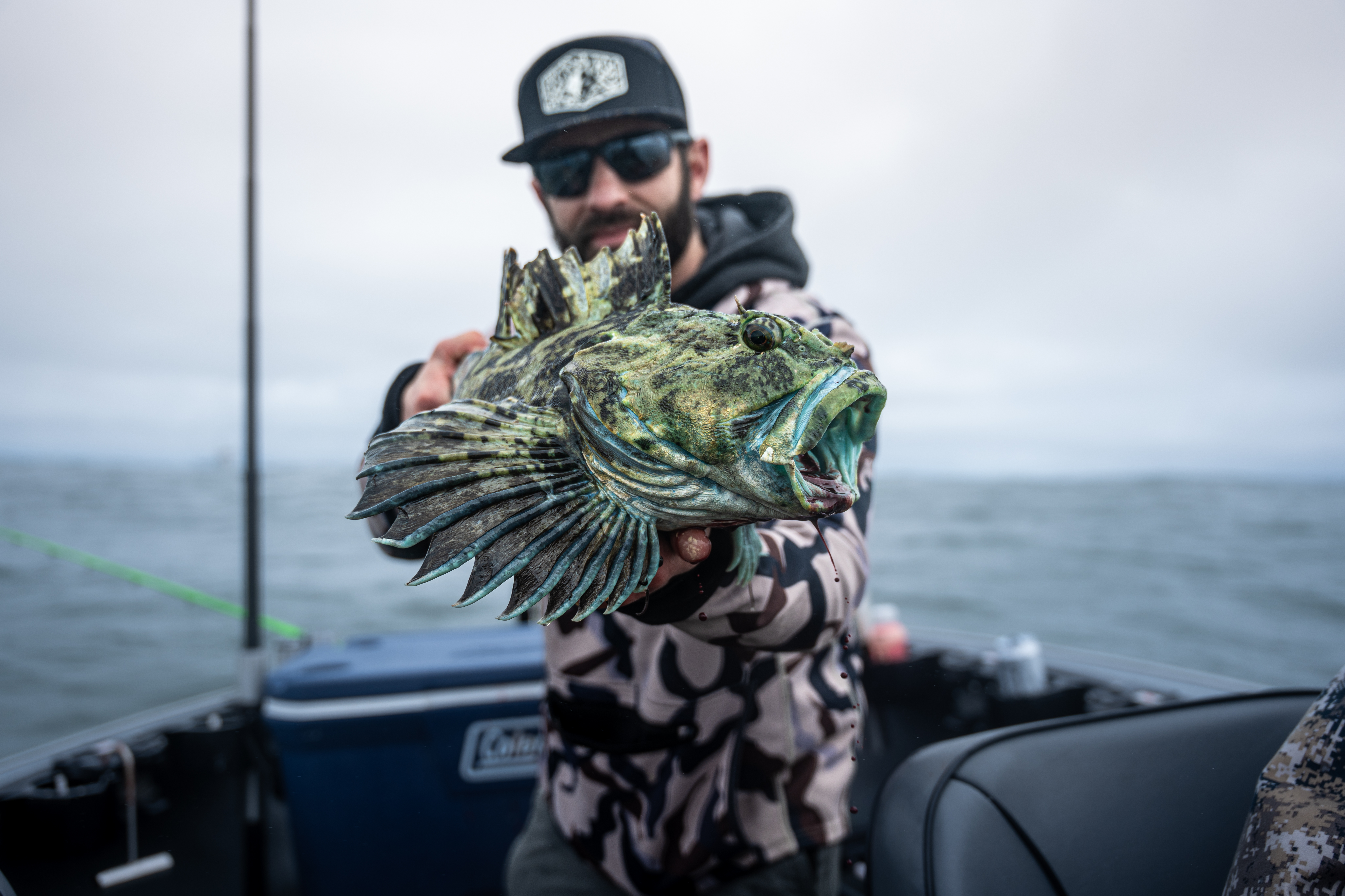 Angler with a lingcod on the Pacific Coast